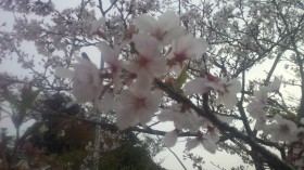 2013033018180000